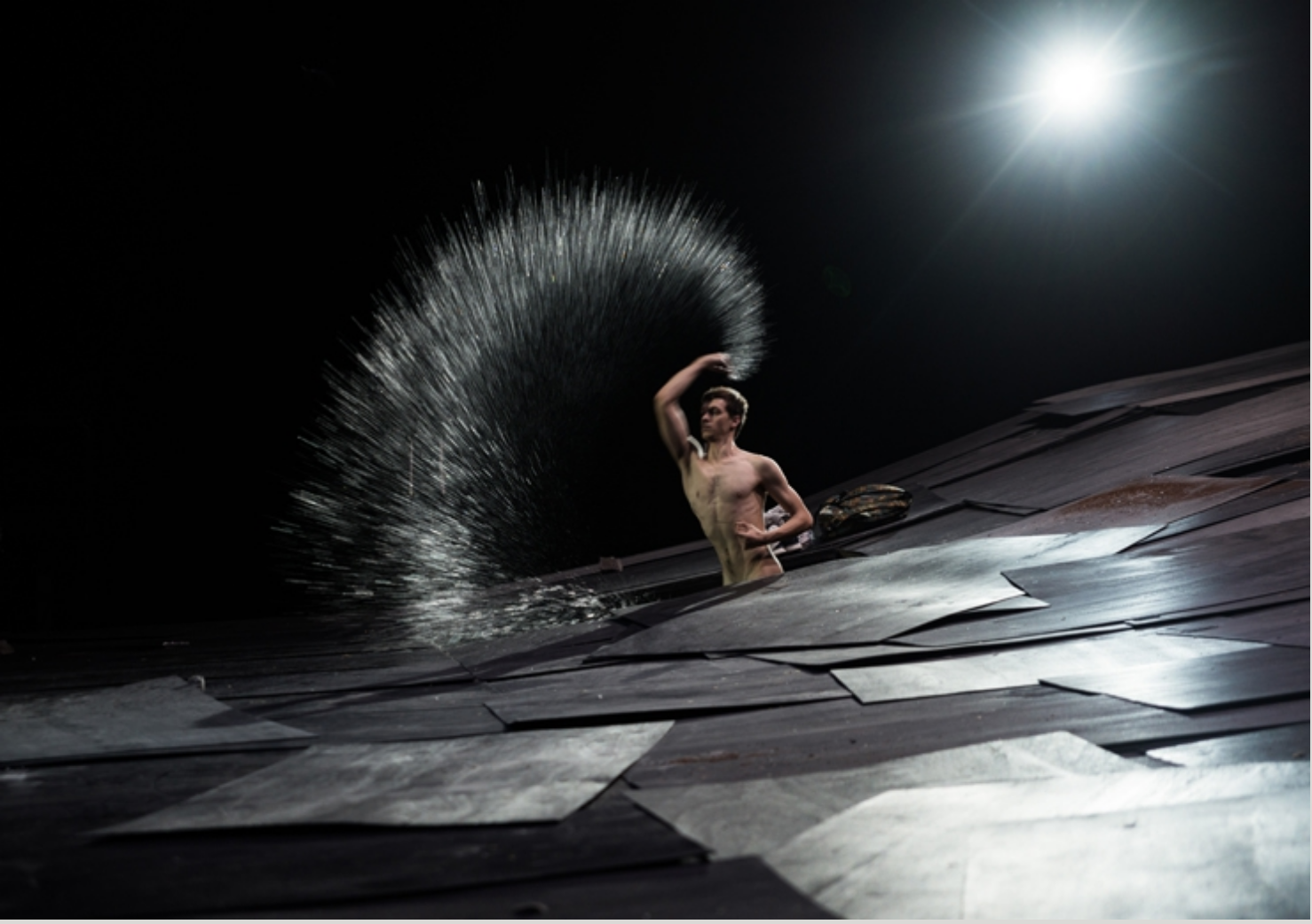 Still from The Great Tamer