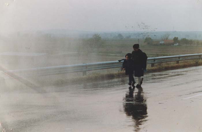 Angelopoulos Retrospective: Landscape in the Mist