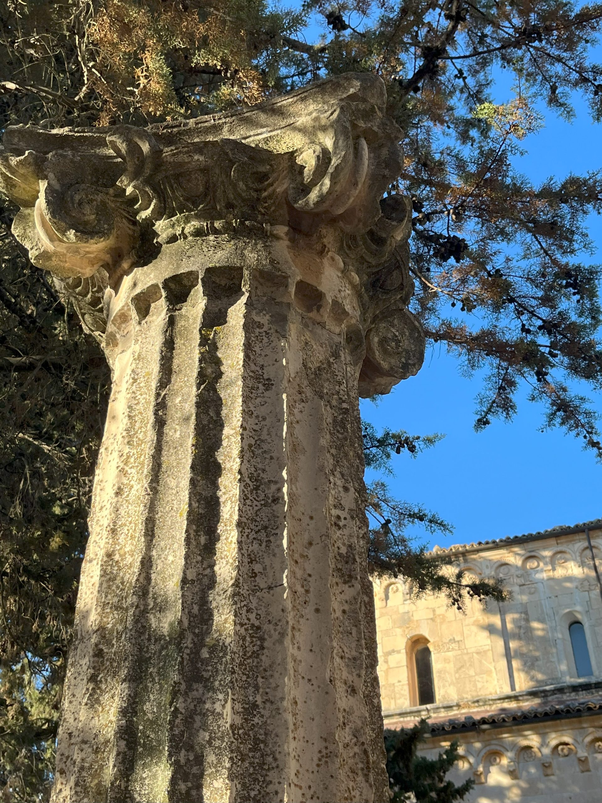 Image by Charlotte Dover, The Lonely Column, 2024