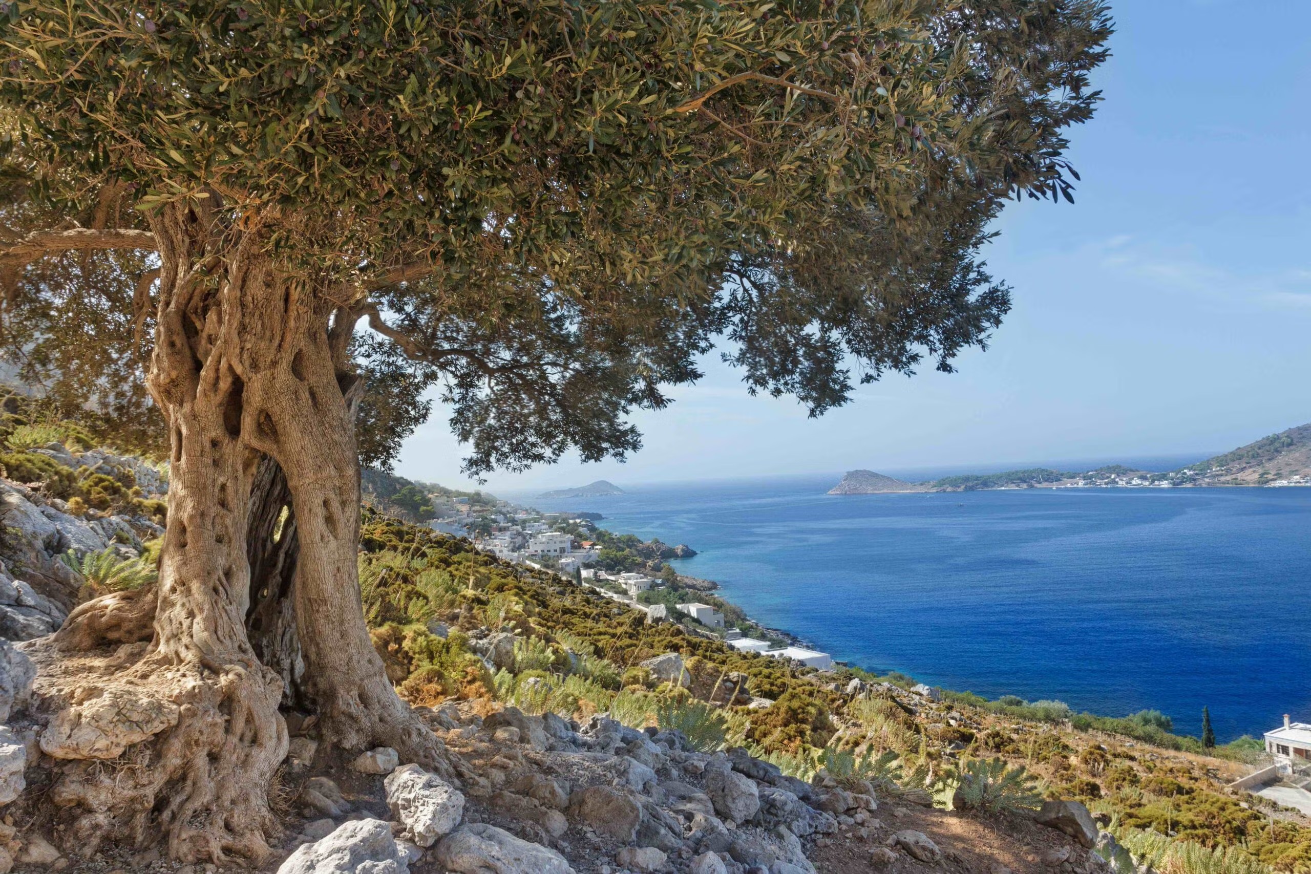 Greece Environment